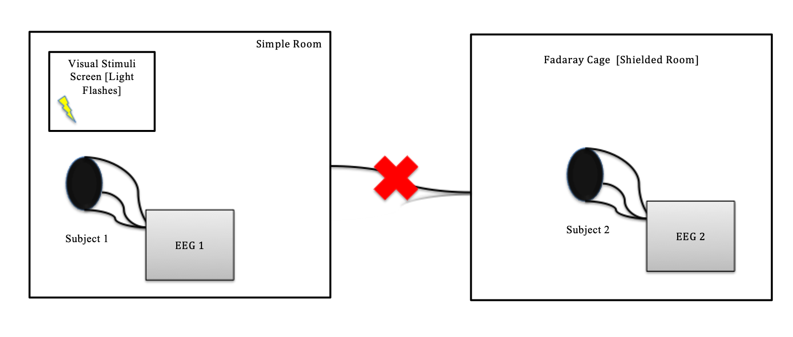 Diagram of the dual-EEG Faraday cage experimental set-up, with one subject shielded and one in an unshielded room.